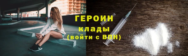 прущие грибы Верея